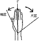 3JH00000001186.jpg