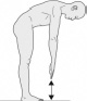 2JH00000225445.jpg
