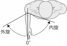 2JH00000225452.jpg