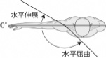 2JH00000225453.jpg