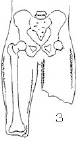 2JH00000241255.jpg