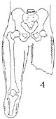 2JH00000241256.jpg