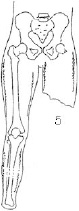 2JH00000241257.jpg