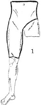 2JH00000241269.jpg