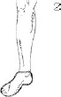 2JH00000241280.jpg