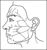 2JH00000232981.jpg