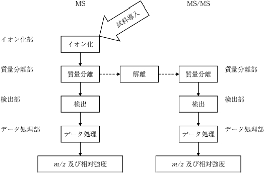 2JH00000241389.jpg