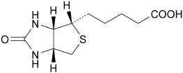2JH00000242300.jpg