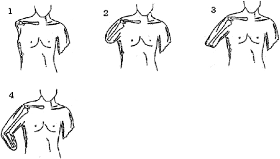 2JH00000243407.jpg