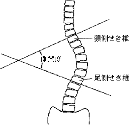 3JH00000001173.jpg