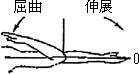 3JH00000002617.jpg
