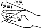 3JH00000002623.jpg