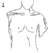 2JH00000241246.jpg