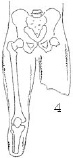 2JH00000241267.jpg