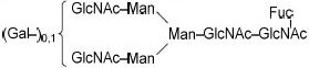 2JH00000224992.jpg