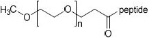 2JH00000224999.jpg