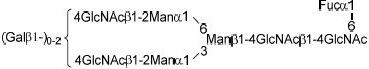 2JH00000225005.jpg