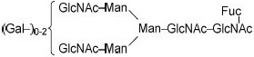 2JH00000225009.jpg