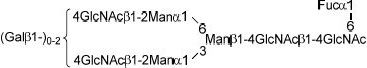 2JH00000225017.jpg