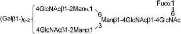 2JH00000225025.jpg