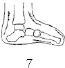2JH00000241259.jpg