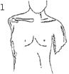 2JH00000241260.jpg