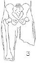 2JH00000241266.jpg