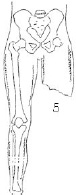 2JH00000241268.jpg