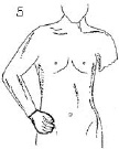 2JH00000241291.jpg