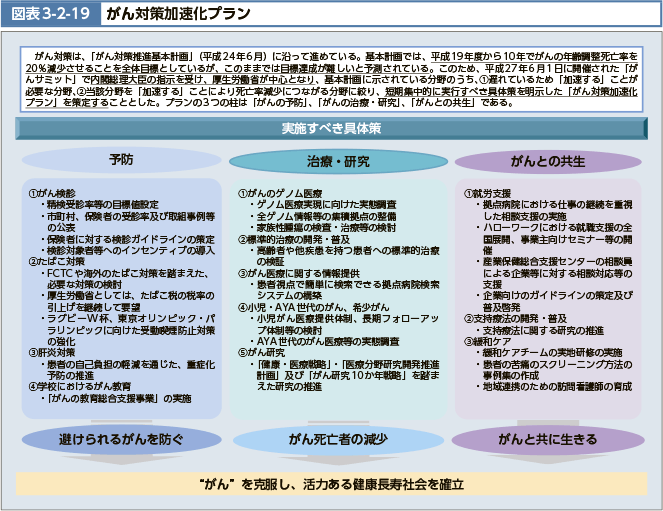 がん対策は、「がん対策推進基本計画(平成24年6月)に沿って進めている。基本計画では、平成19年度から10年でがんの年齢調整死亡率を20%減少させることを全体目標としているが、このままでは目標達成が難しいと予測されている。このため、平成27年6月1日に開催された「がんサミット」で内閣総理大臣の指示を受け 、厚生労働省が中心となり、基本計画に示されている分野のうち、１遅れているため「加速する」ことが必要な分野、２当該分野を「加速する」ことにより死亡率減少につながる分野に絞り、短期集中的に実行すべき具体策を明示した「がん対策加速化プラン」を策定することとした。プランの3つの柱は「がんの予防」、「がんの治療・研究」、「がんとの共生」である。