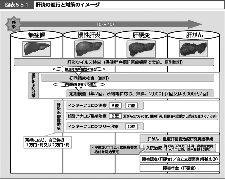 図表8-5-1　肝炎の進行と対策のイメージ（図）