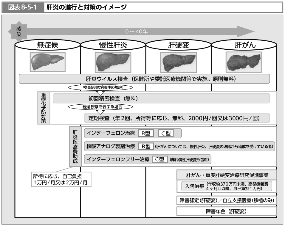 図表8-5-1　肝炎の進行と対策のイメージ（図）