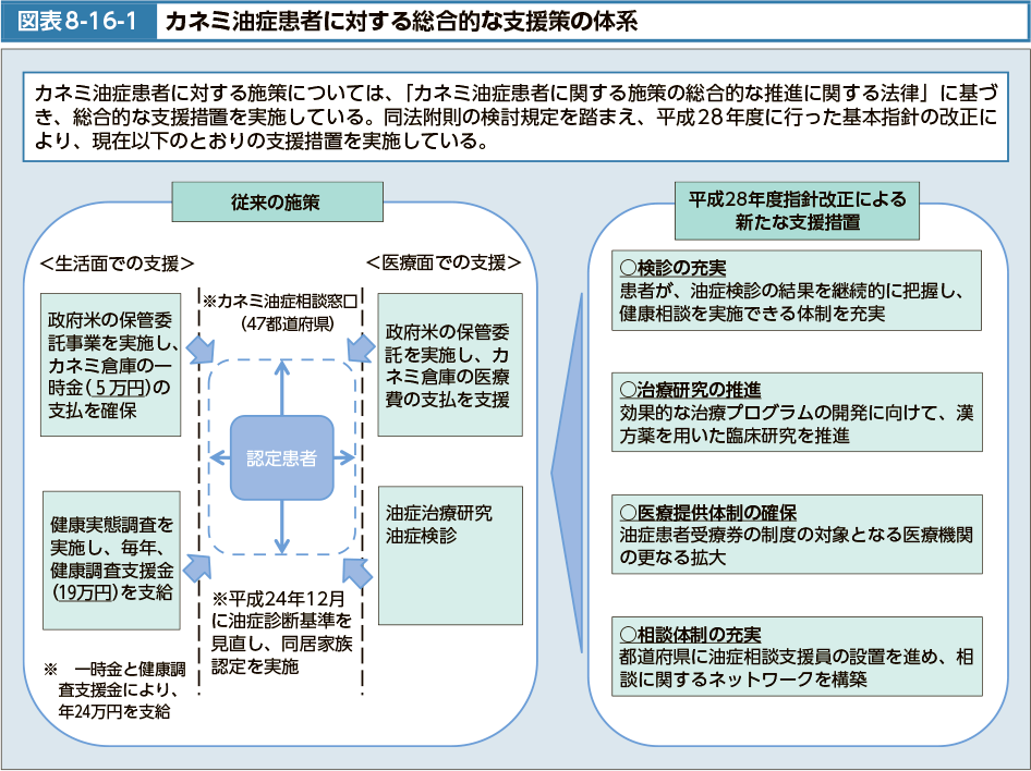 図表8-16-1　カネミ油症患者に対する総合的な支援策の体系