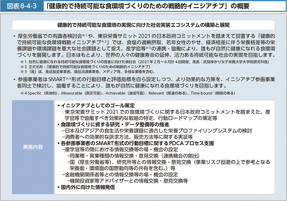 図表8-4-3　「健康的で持続可能な食環境づくりのための戦略的イニシアチブ」の概要