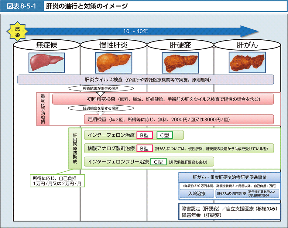 図表8-5-1　肝炎の進行と対策のイメージ