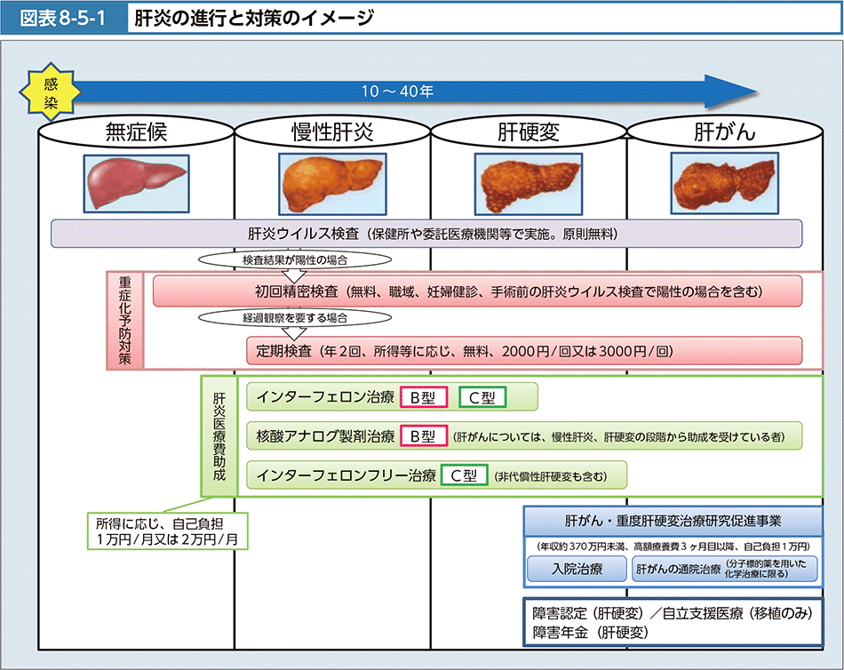 図表8-5-1　肝炎の進行と対策のイメージ