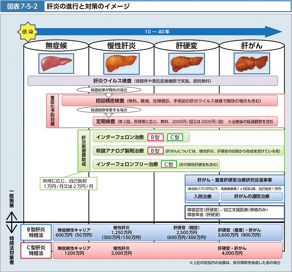 図表7-5-2　肝炎の進行と対策のイメージ