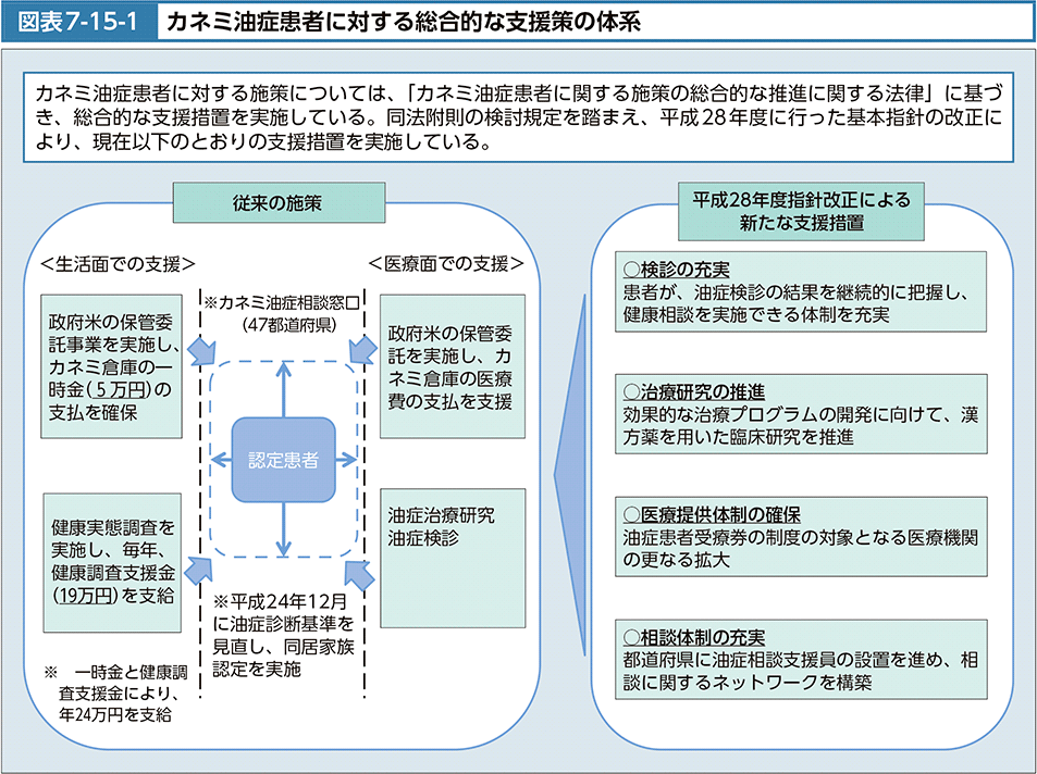 図表7-15-1　カネミ油症患者に対する総合的な支援策の体系
