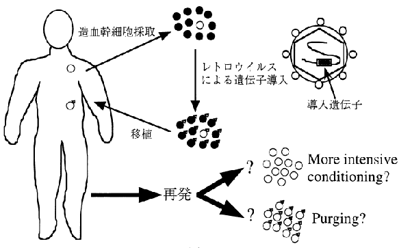 }FGene marking study