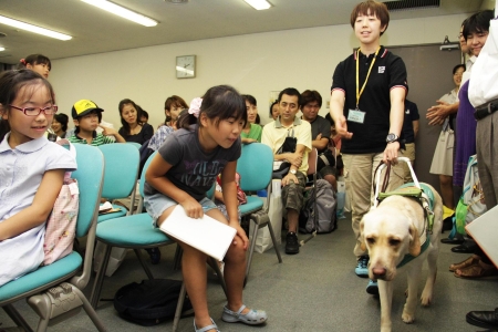 写真(2011年8月17日)