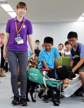 写真(2012年8月8日、9日)