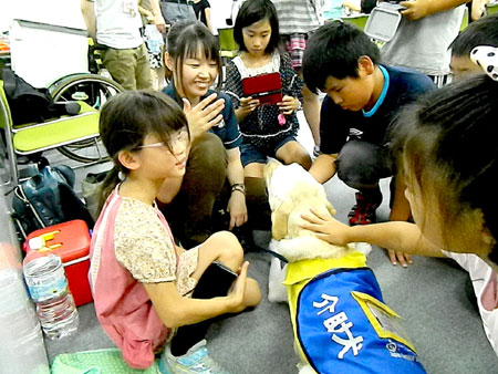 写真(2013年8月7日〜8日)