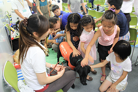 写真(2014年8月6日〜7日)