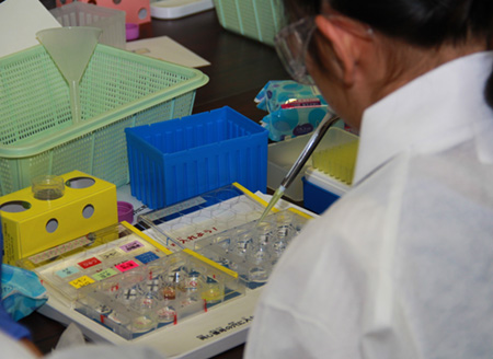 写真(2017年8月2日〜3日)