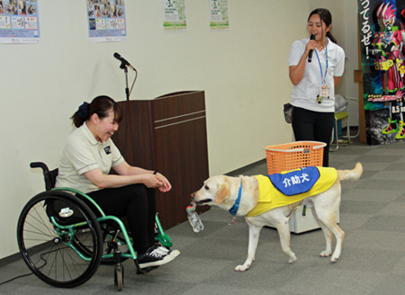 写真(2017年8月3日)